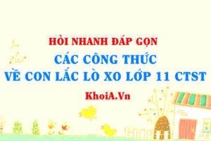 Các công thức về con lắc lò xo lớp 11 Chân trời sáng tạo?